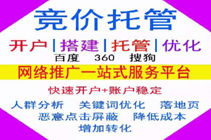 某公司信息流广告的精准投放与效果评估